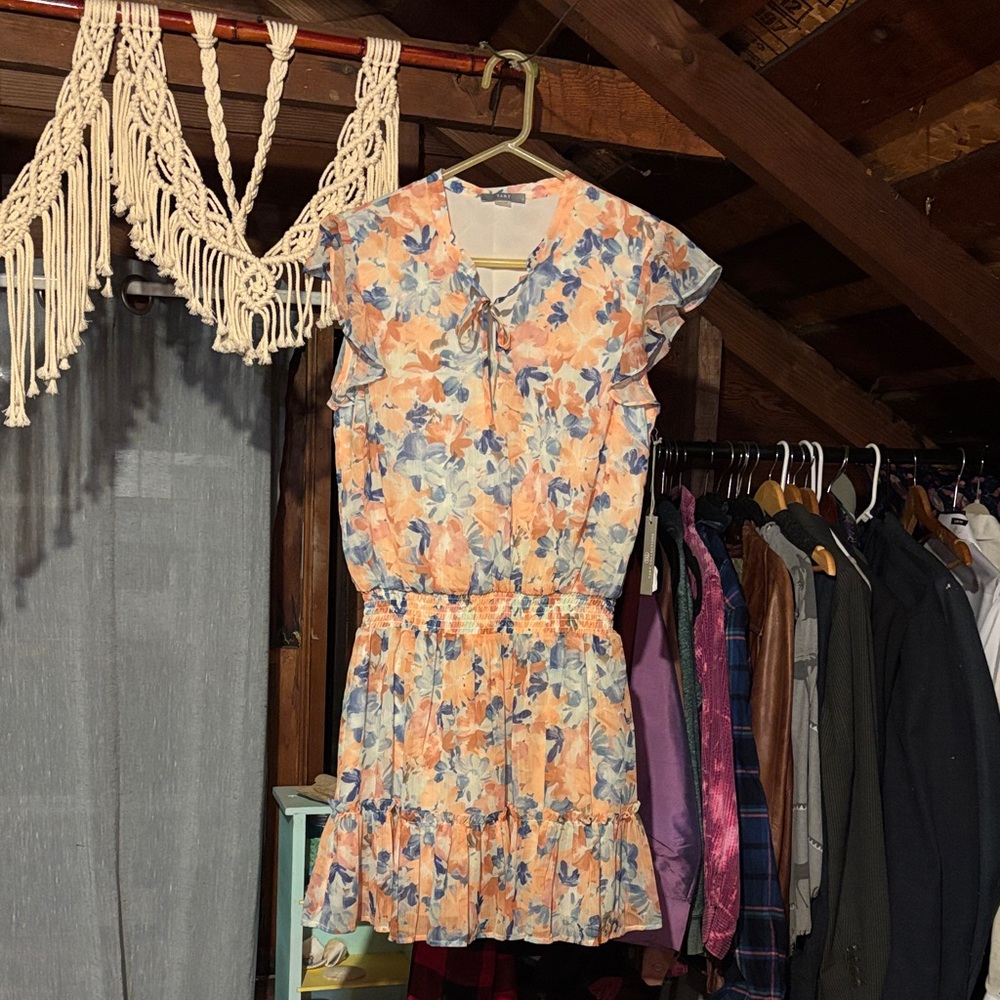 Tart Orange and Blue Floral Mini Dress